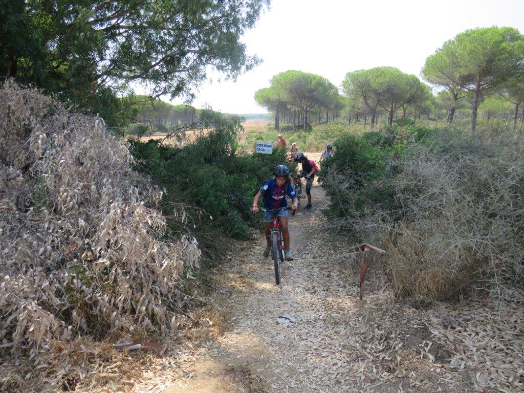 Village Camps International Summer Camp Chiclana, Spain 2017-07-28 https://www.villagecamps.com/journals_admin/images/1845-2475-file1 (140).jpg